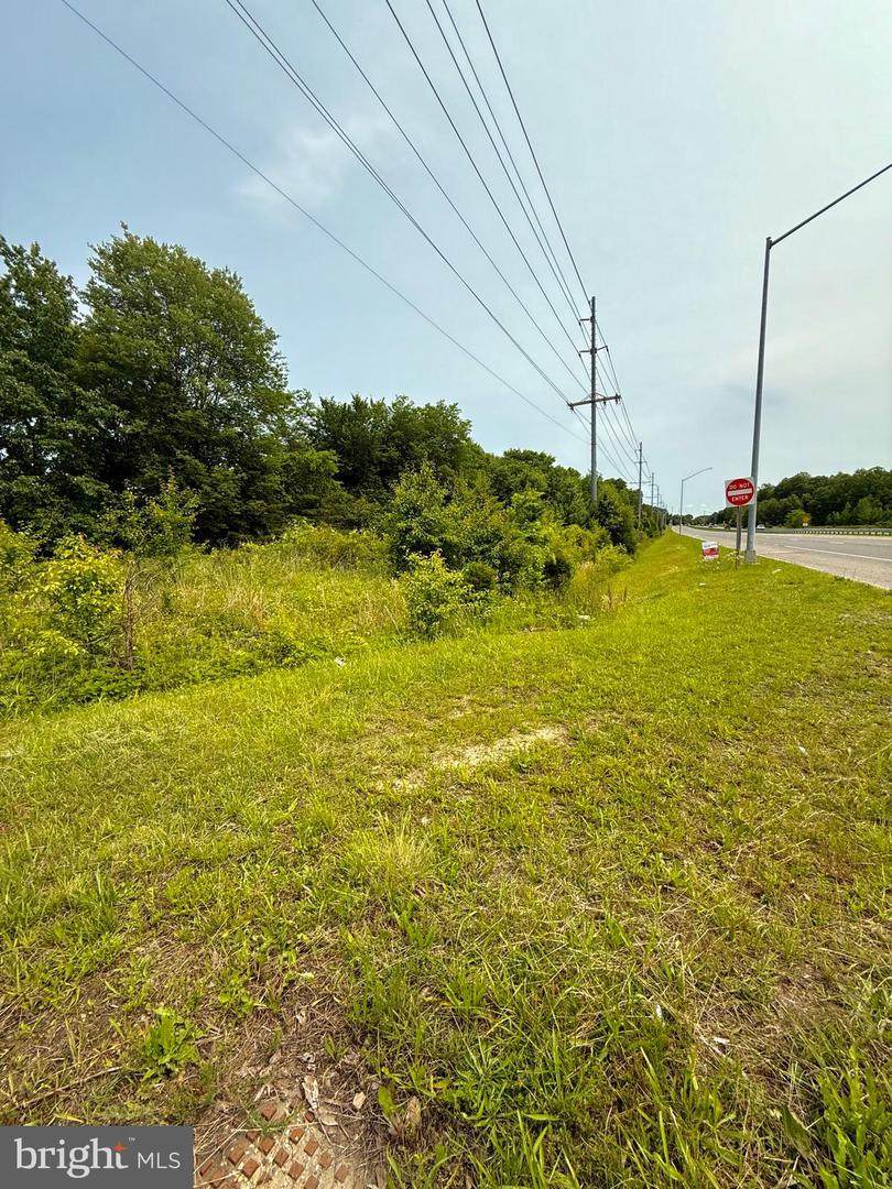 Leonardtown & Herbert Road - Photo 1