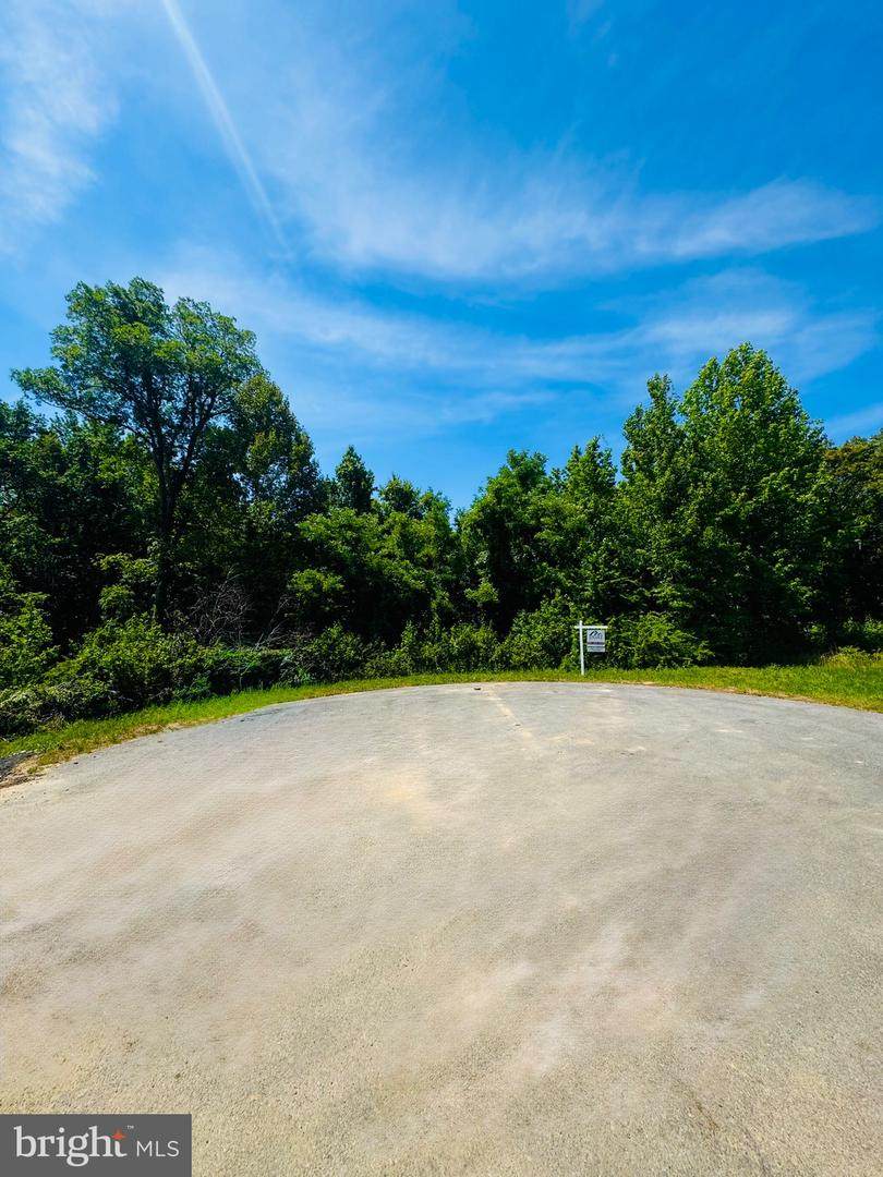 8087 Welcome Orchard Place - Photo 1