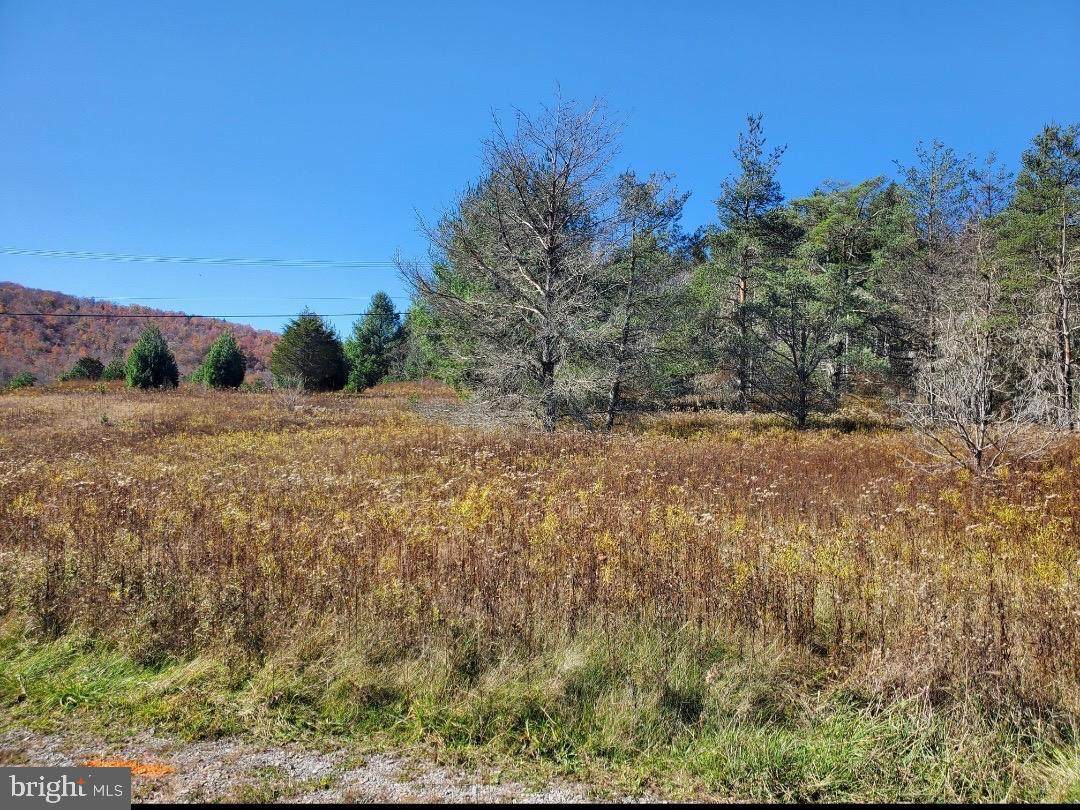 Lot 48 Mountain View Circle Drive - Photo 1