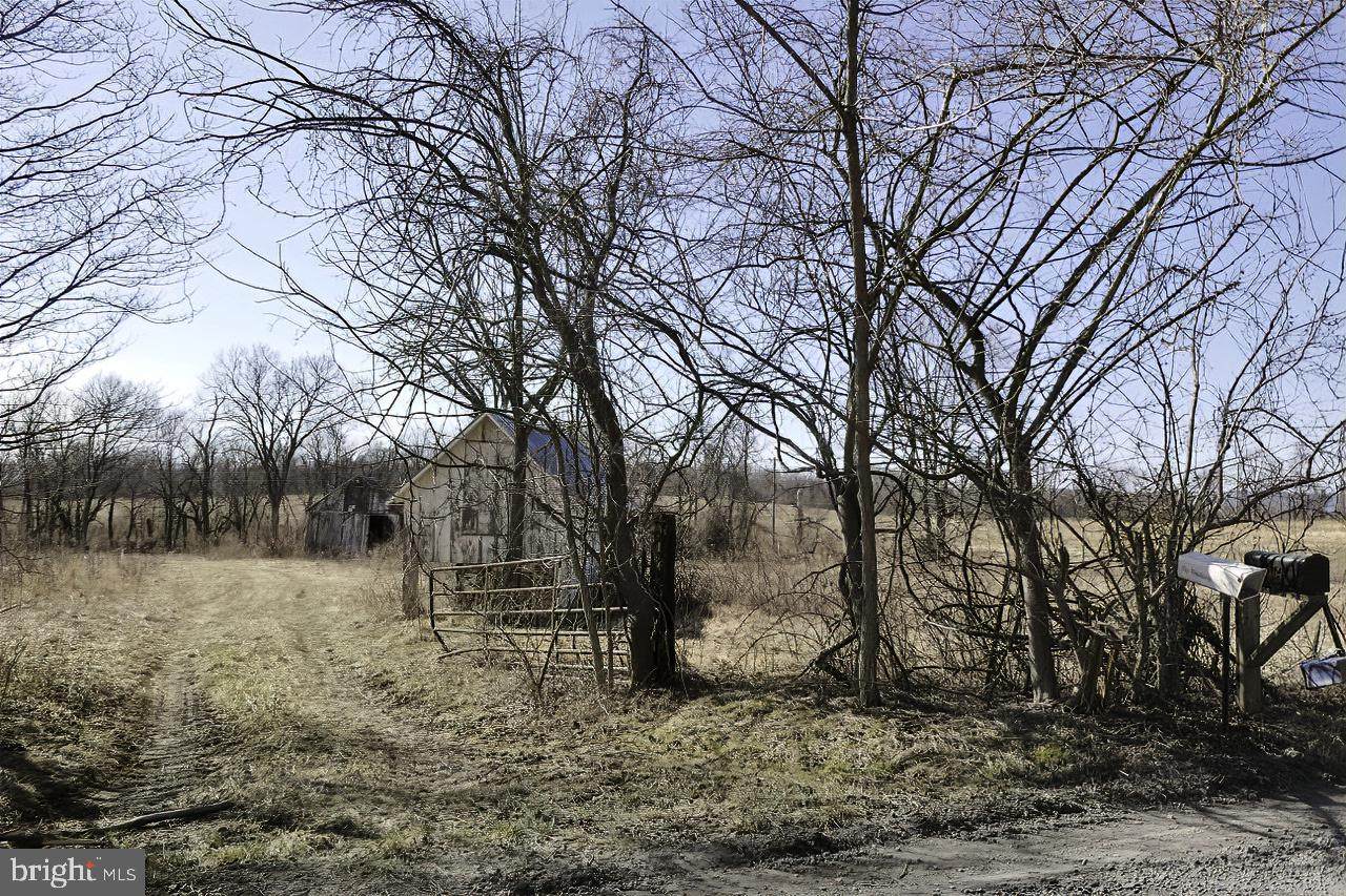 40455 Quarter Branch Road - Photo 1