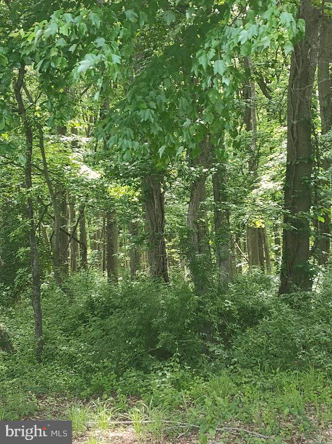  Caulks Field Road - Photo 1