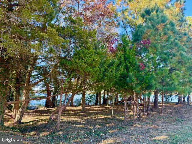 11429 Maid At Arms Lane - Photo 1