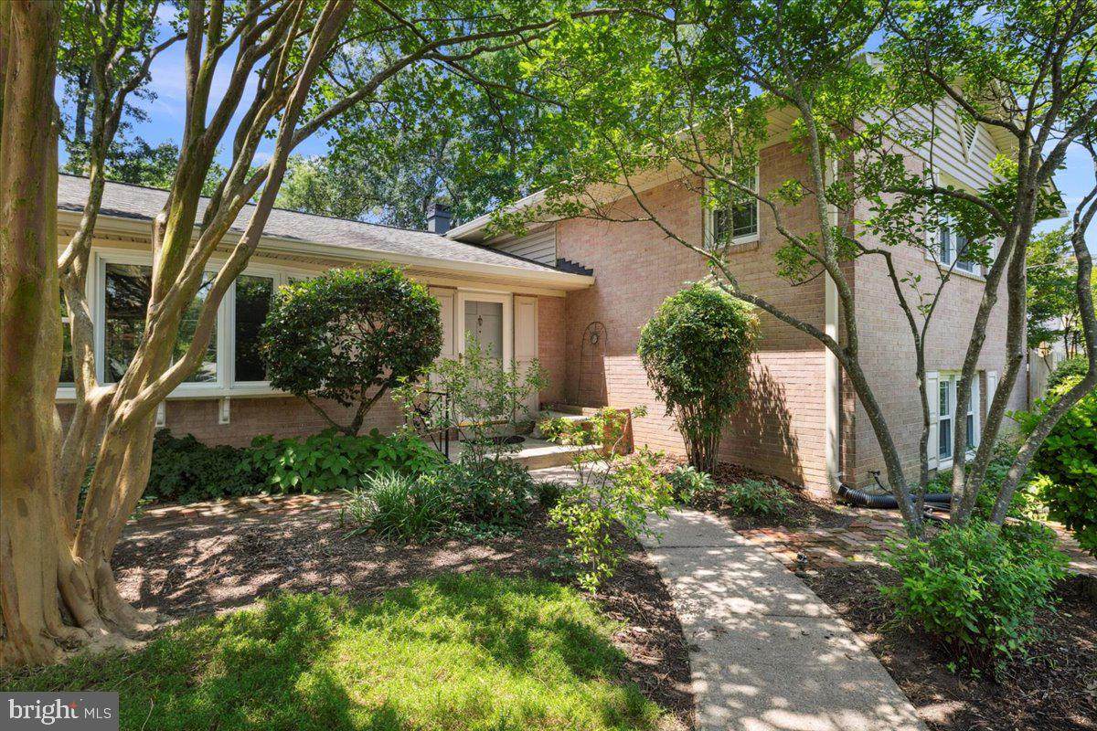9210 Cherrytree Drive - Photo 1
