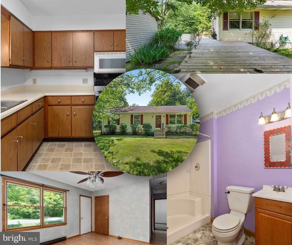 10624 Millbrook Drive - Photo 1