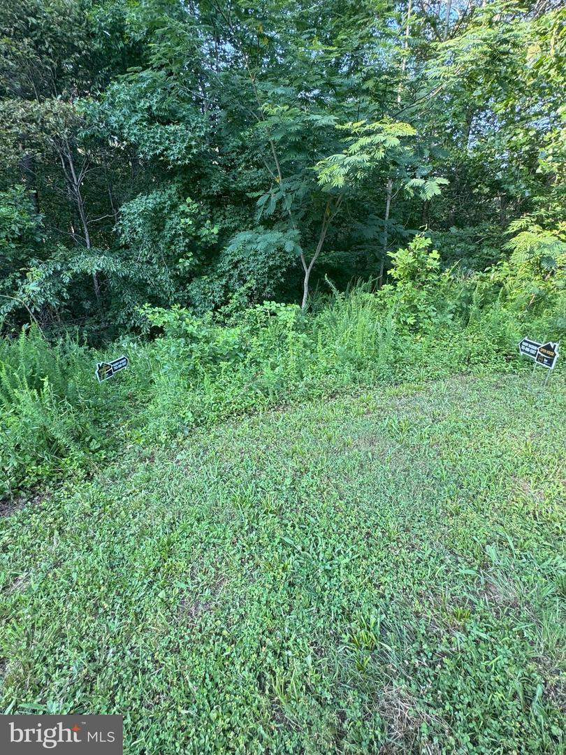 17429 Joplin Road - Photo 1