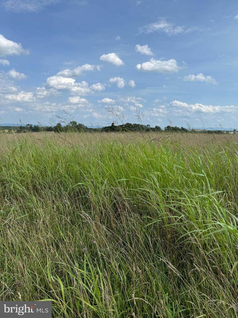 Lot 1 Glebe Drive - Photo 1
