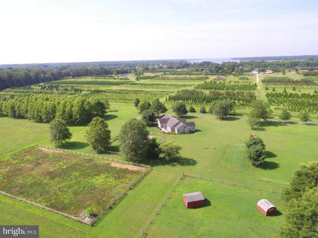 3069 Choptank Road - Photo 1