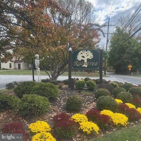 903 Raintree Lane - Photo 1