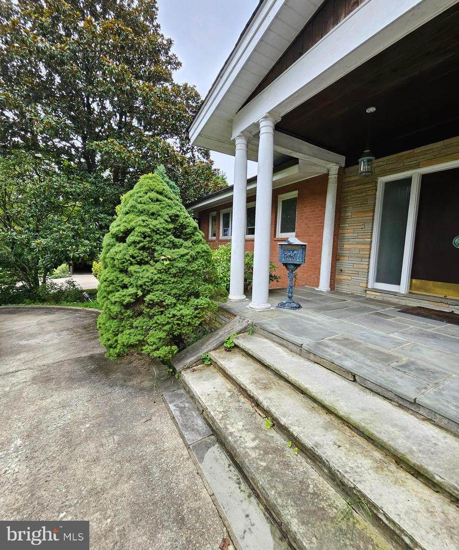 6204 Lenox Road - Photo 1