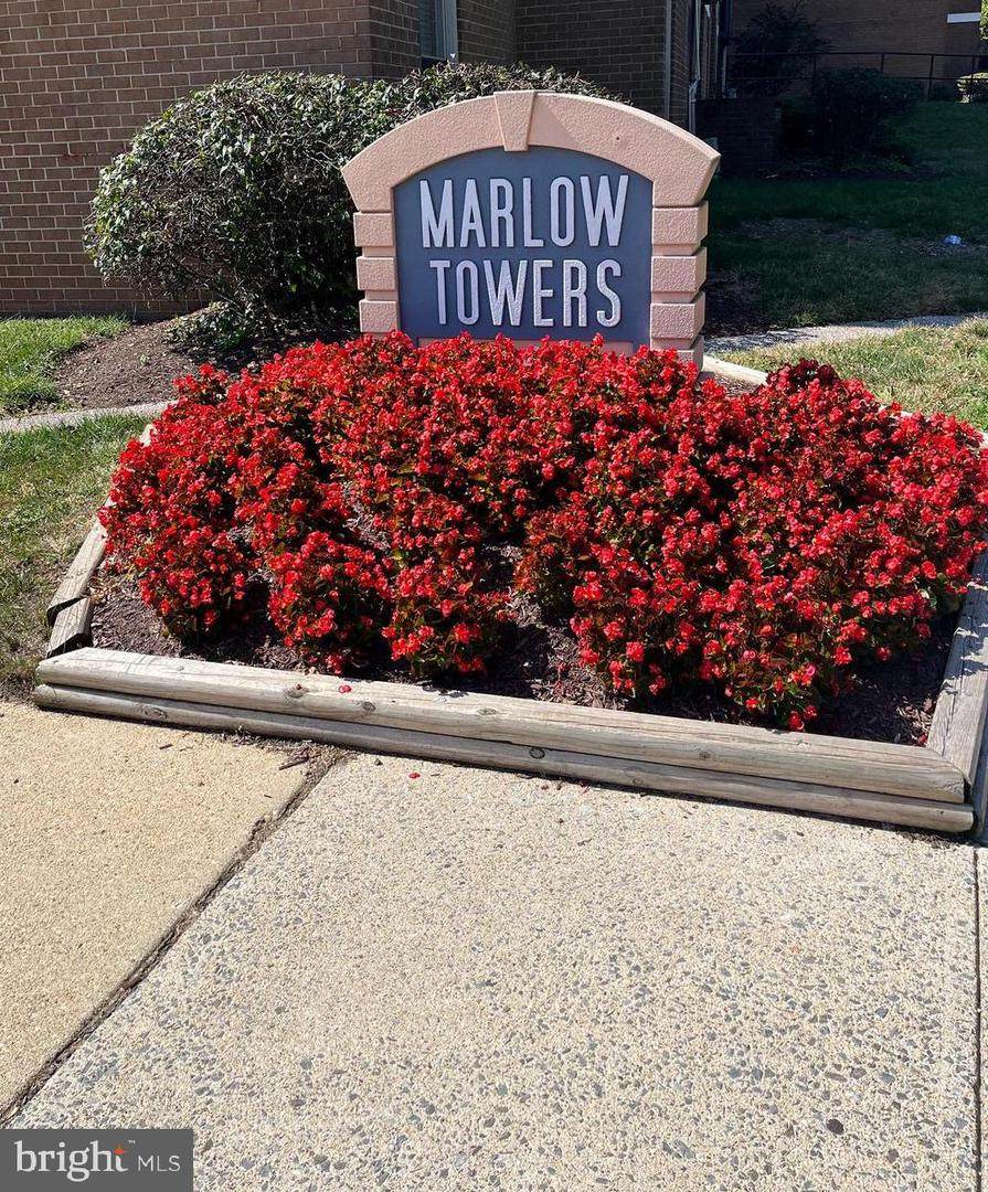 3801 Saint Barnabas Road - Photo 1