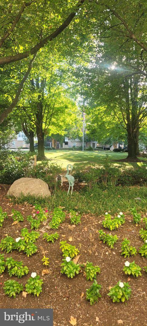 10201 Grosvenor Place - Photo 1