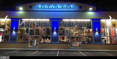 20644 Coastal Highway - Photo 1