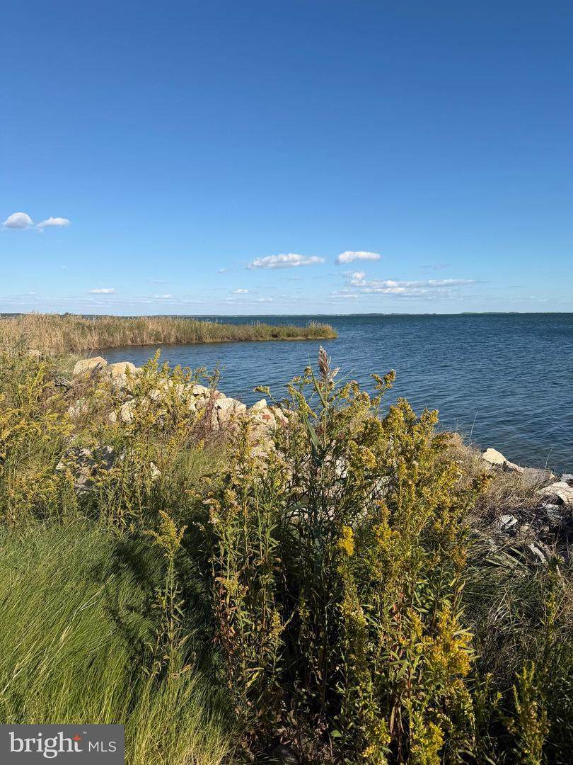 1631 Steamboat Wharf - Photo 1