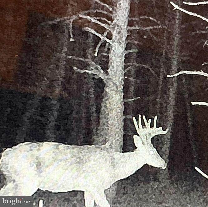 Lot 277 Black Oak Drive - Photo 1