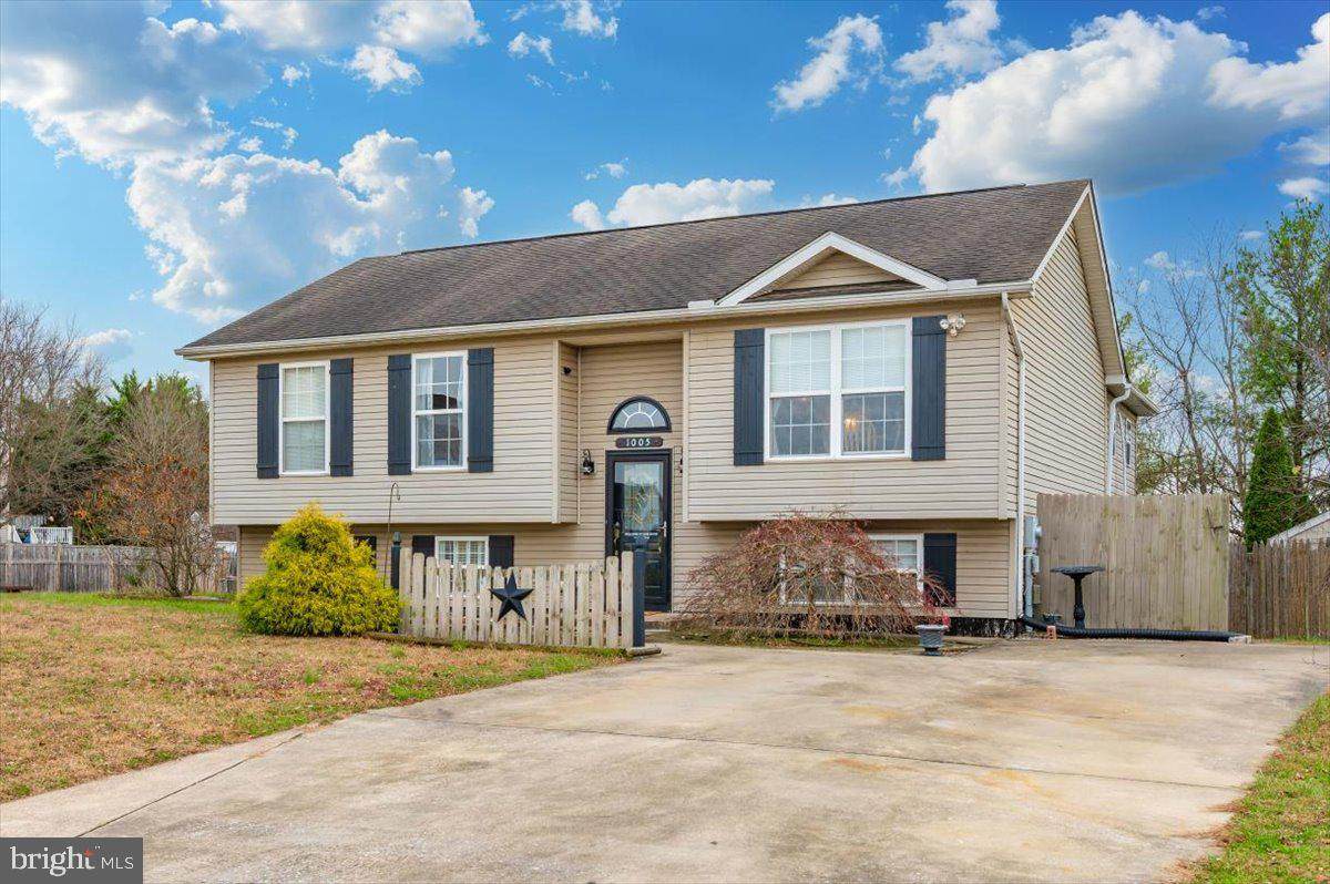 1005 Flat Run Court - Photo 1