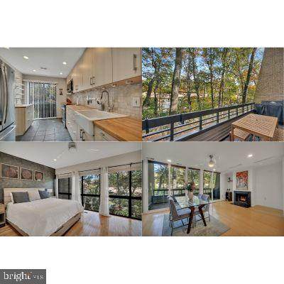 11604 Ivystone Court - Photo 1