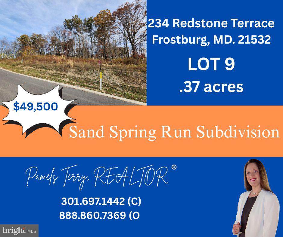 234 Redstone Terrace - Photo 1