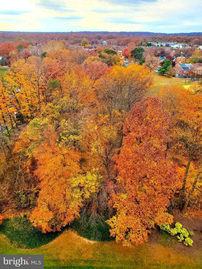 203 Yoakum Parkway - Photo 1