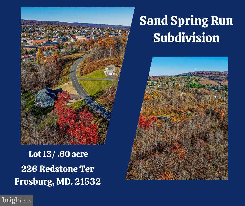 226 Redstone Terrace - Photo 1