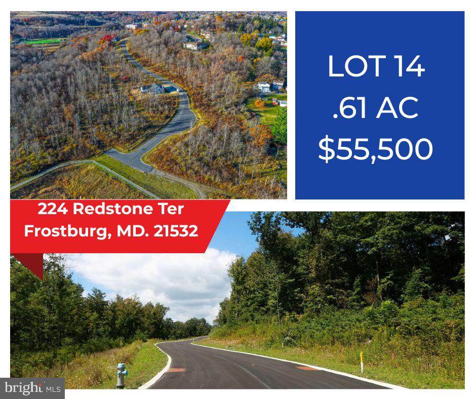 224 Redstone Terrace - Photo 1