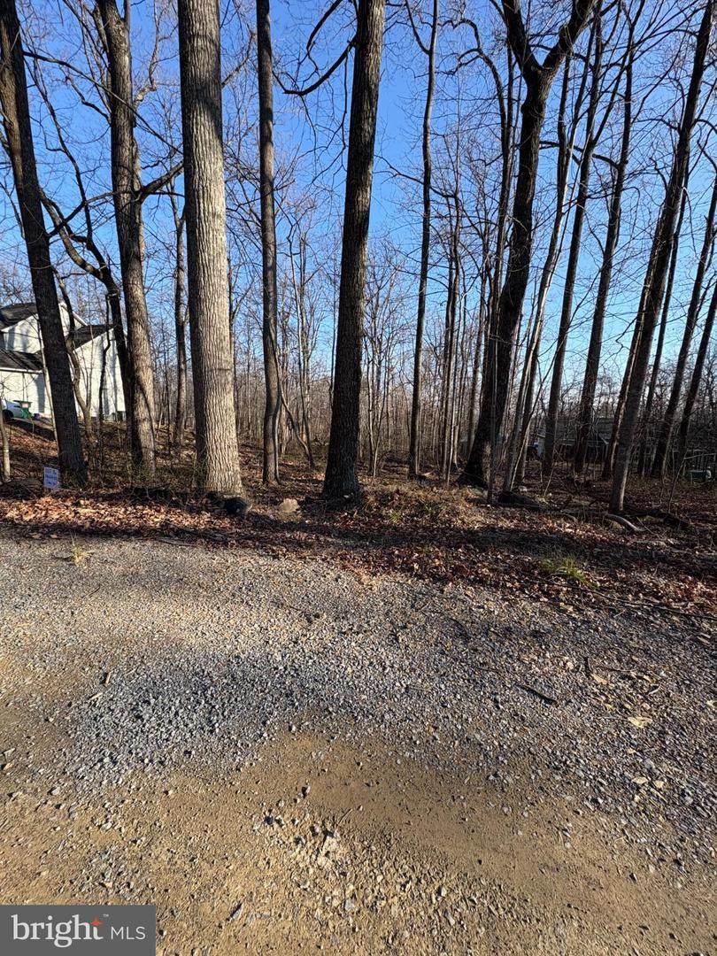 Lot 16 Crow Drive - Photo 1