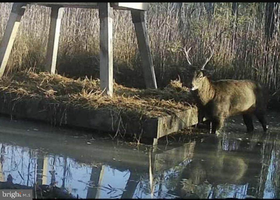 2651 Lakesville Crapo Road - Photo 1