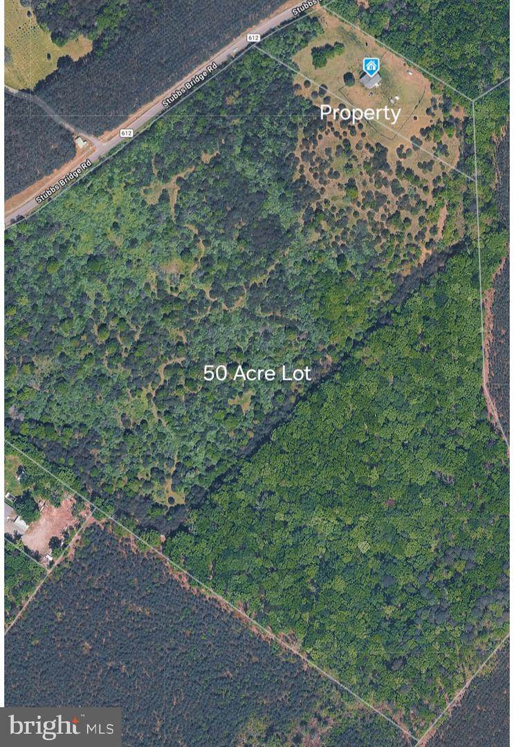 7635 Stubbs Bridge Road - Photo 1