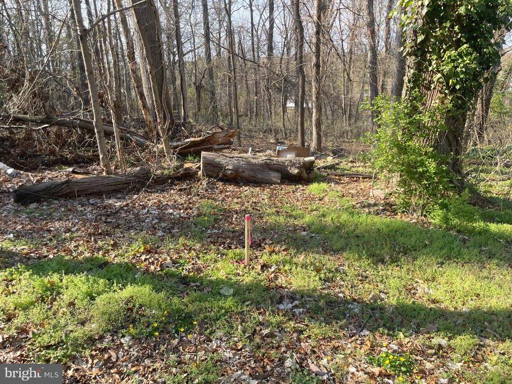  Riverdale Road - Photo 1