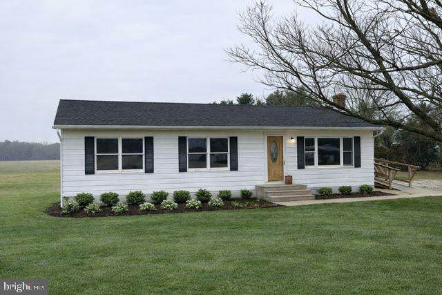 31348 Mount Pleasant Road - Photo 1