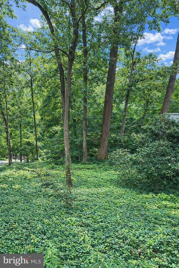 Lot P6 Block 3 Sligo Creek Parkway - Photo 1