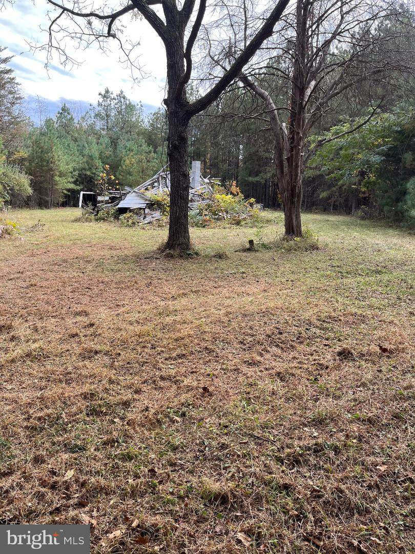 14686 Dry Bridge Road - Photo 1
