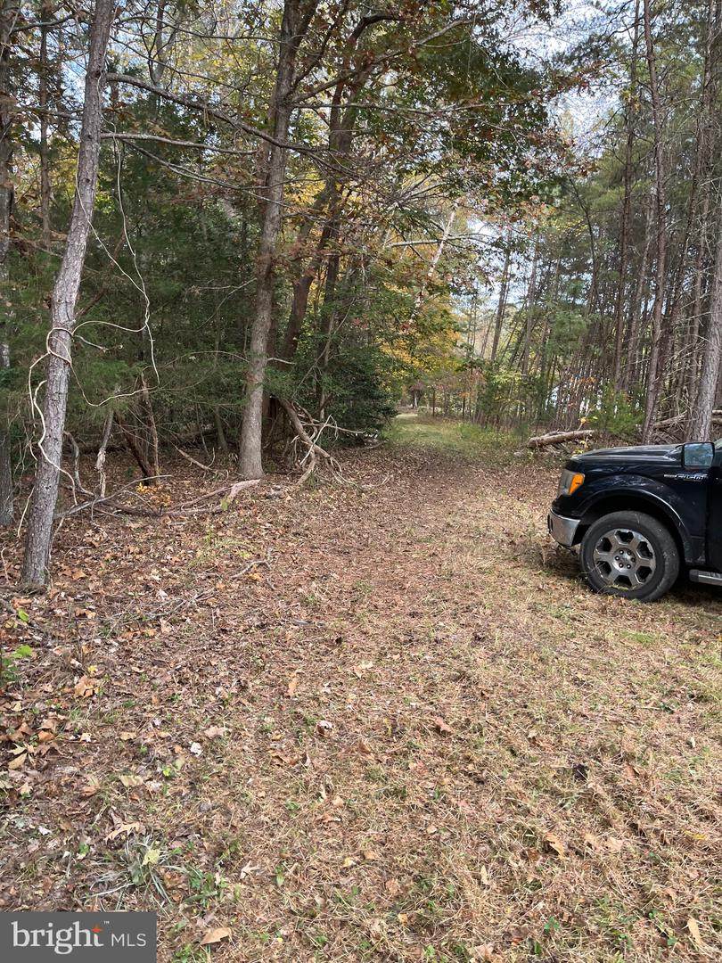 https://bt-photos.global.ssl.fastly.net/brightmls/orig_boomver_2_804597671222-2.jpg