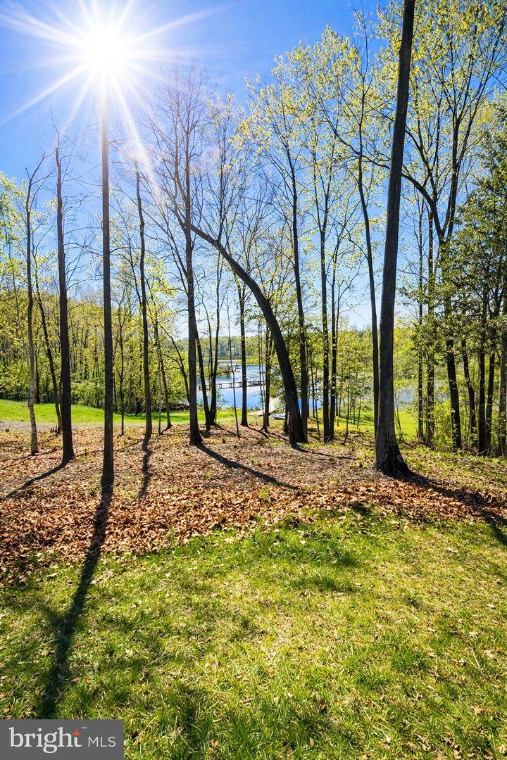 26700 Daniels Point Drive - Photo 1