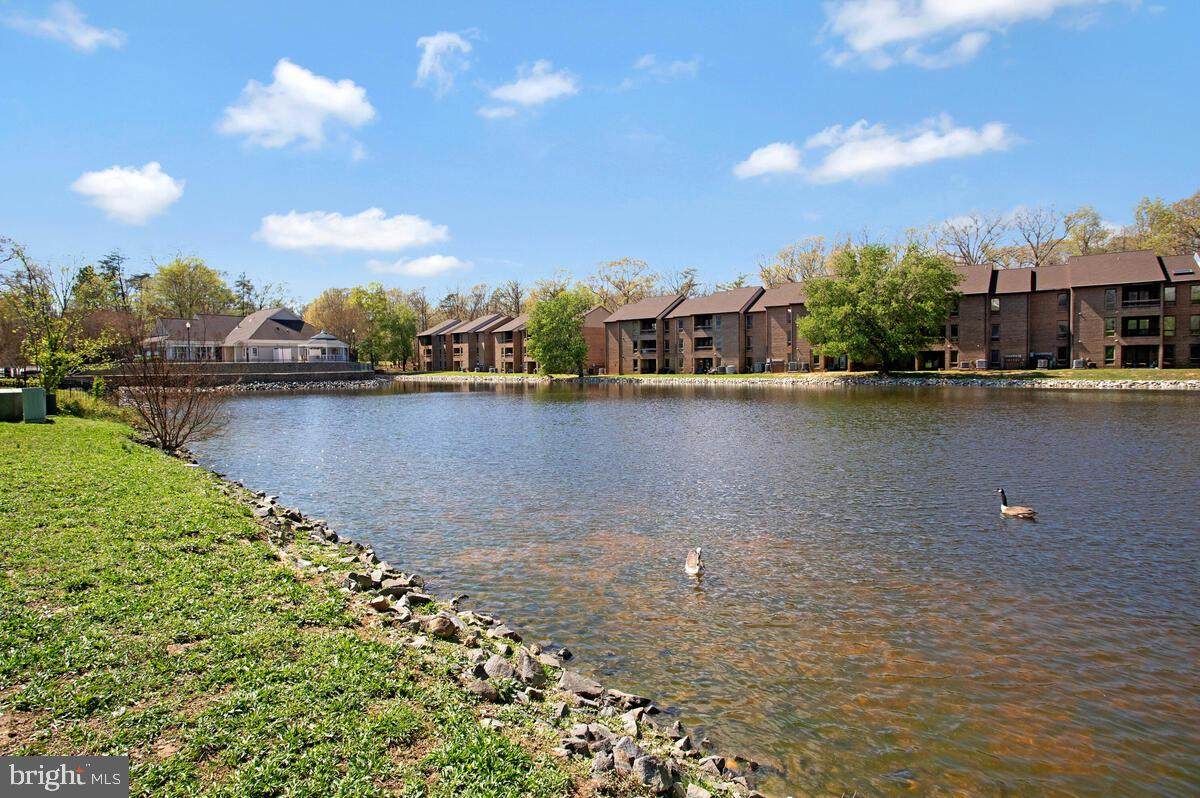 44788 Locust Ridge Court - Photo 1