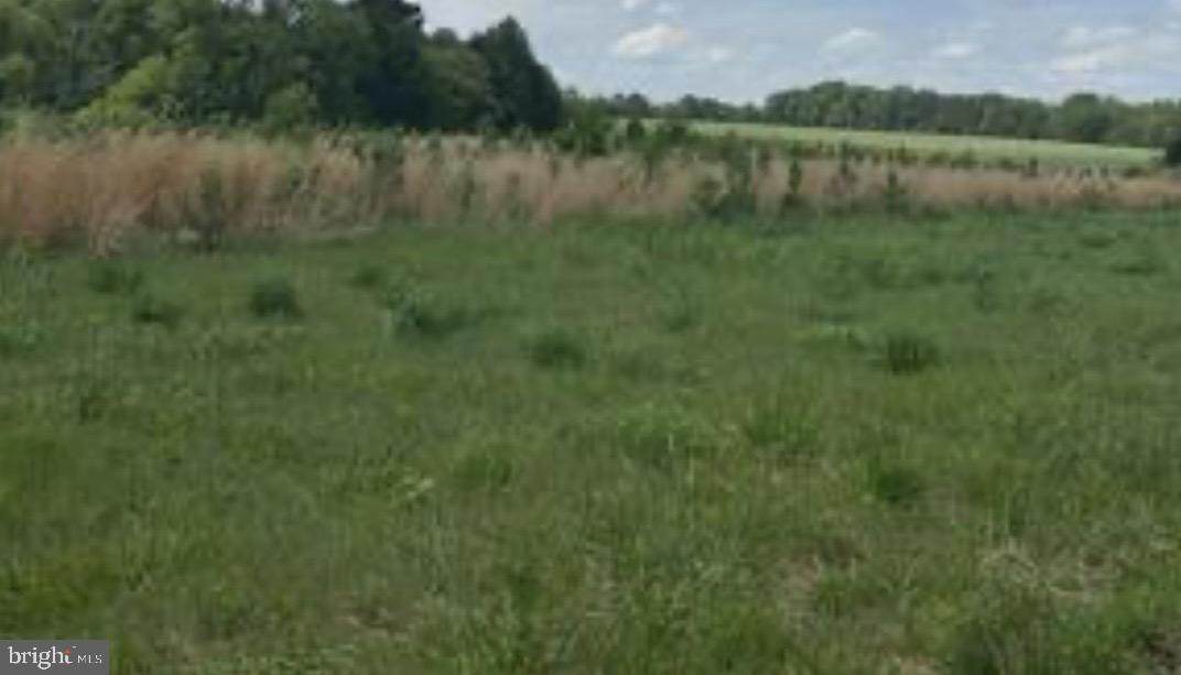 Lot 10 Kings Highway - Photo 1