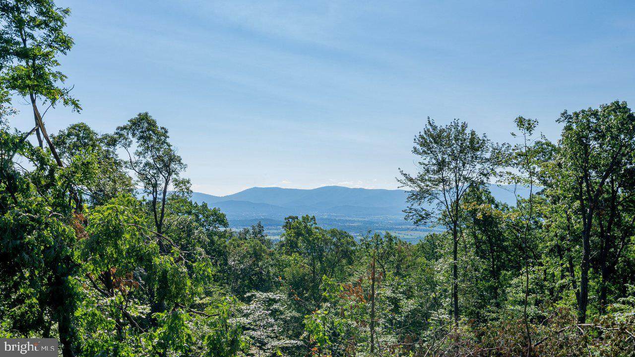 531 Forest Drive Extension - Photo 1