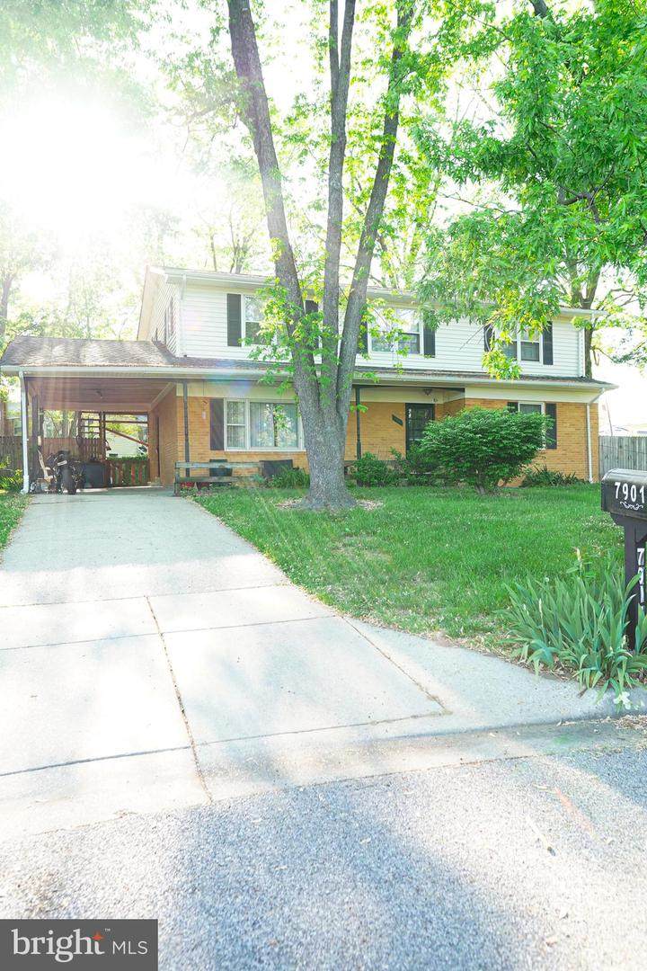 7901 Anne Court - Photo 1