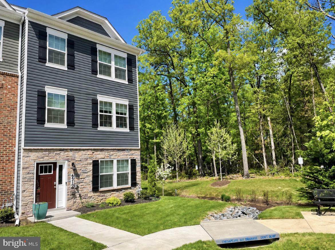 6510 Spoonbill Way - Photo 1