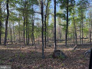 0 Easter Ridge Lane - Photo 1