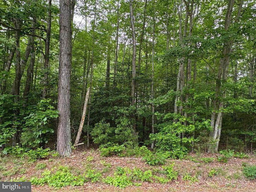 0 Bogey Neck Rd - Photo 1