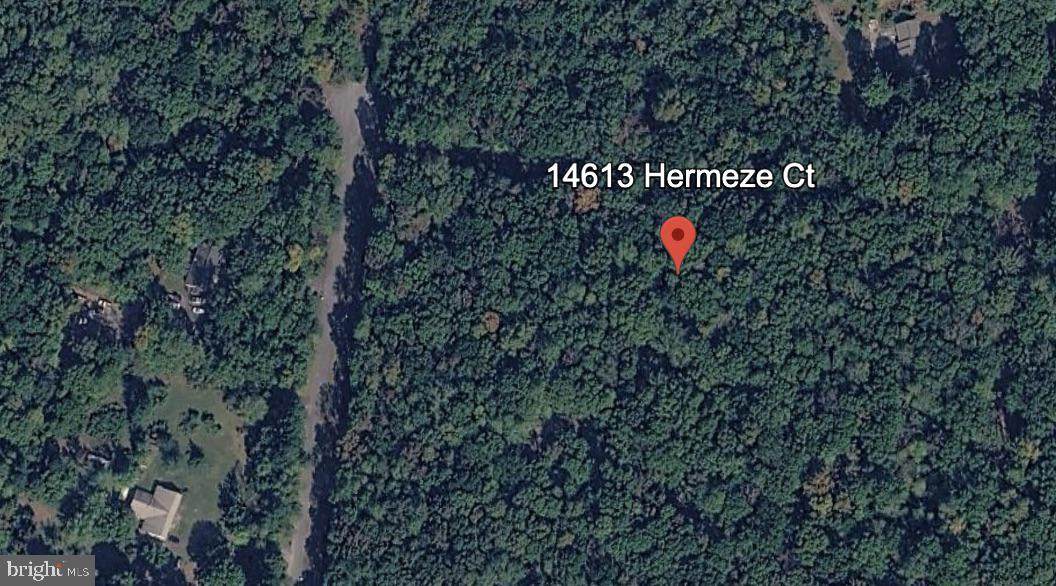 14613 Hermeze Court - Photo 1