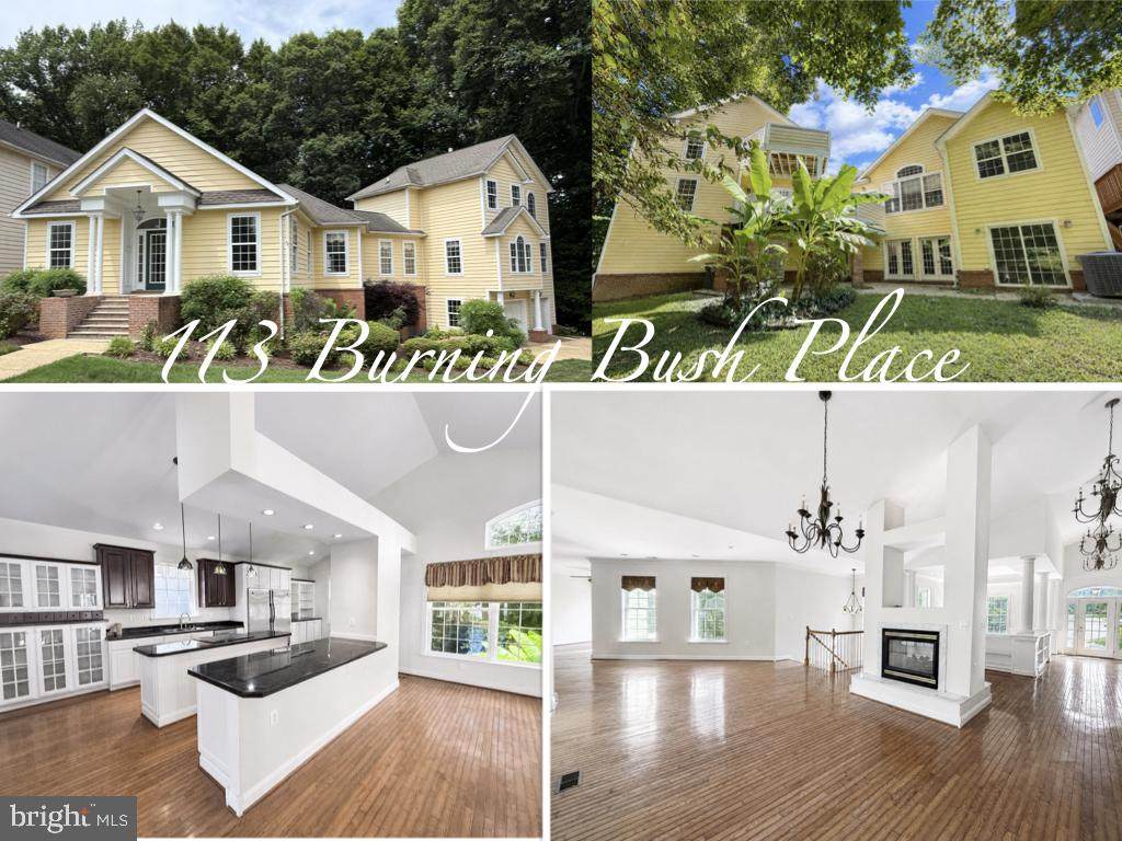 113 Burning Bush Place - Photo 1