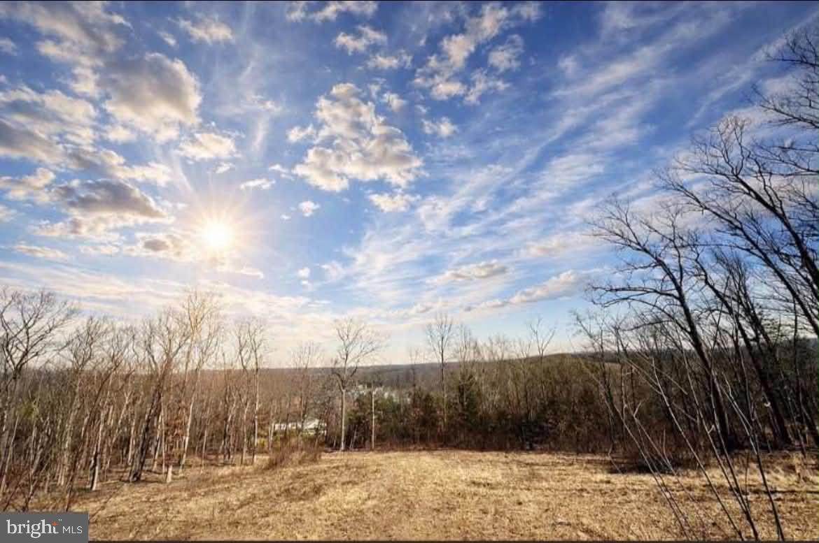  Messick Road - Photo 1