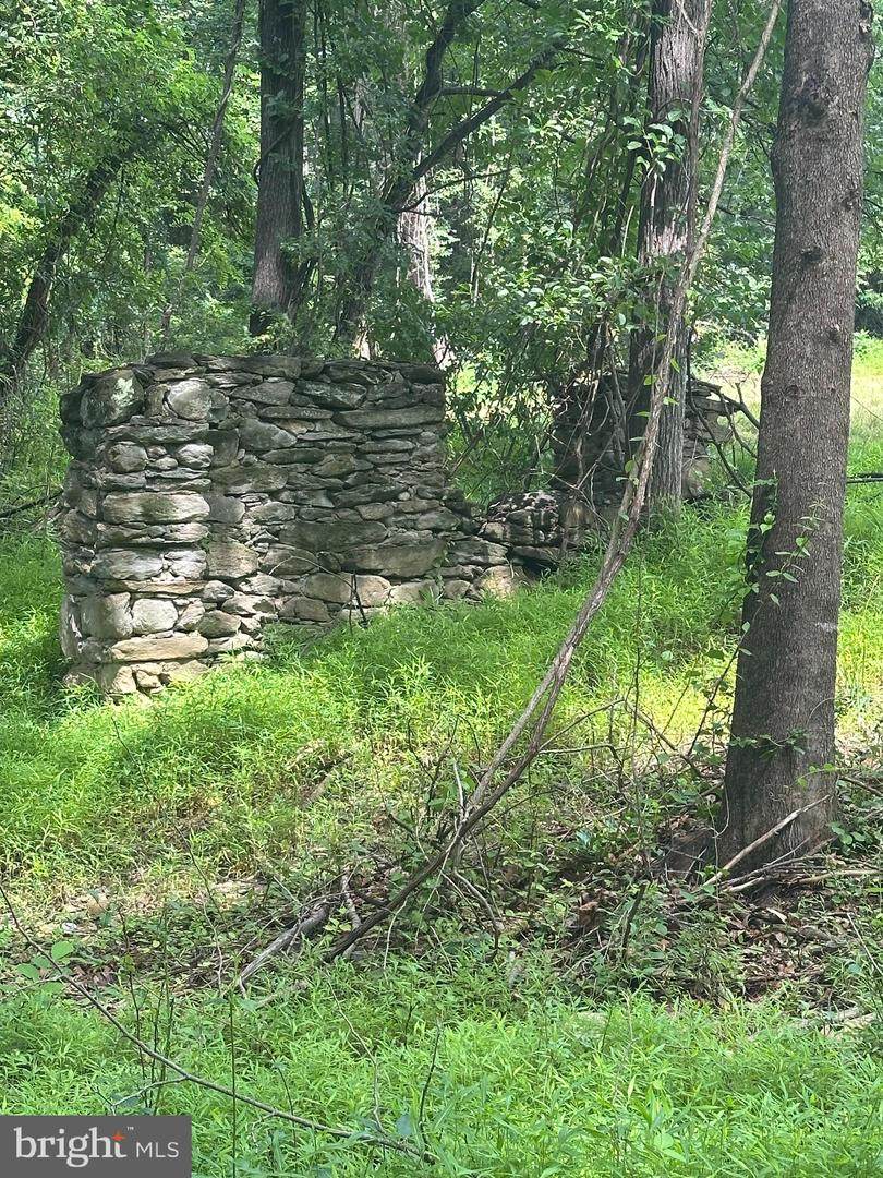  Mount Nebo Church Road - Photo 1