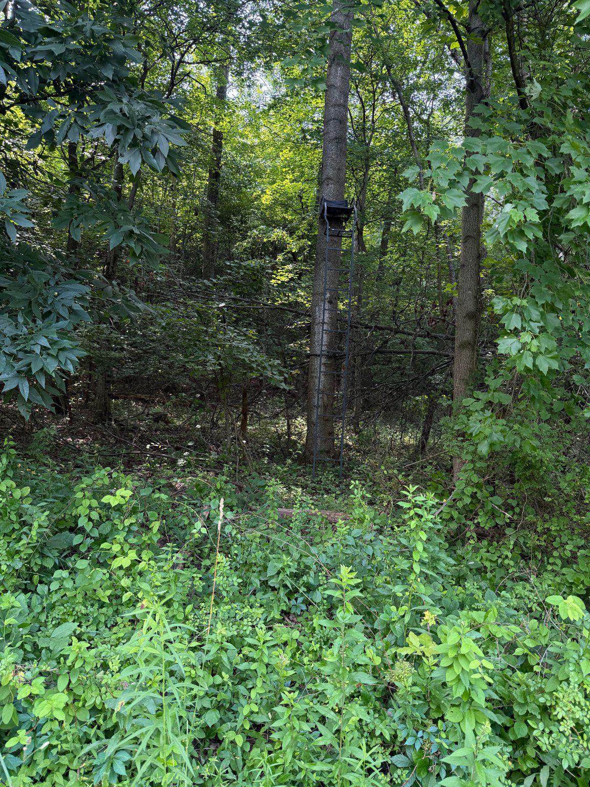 https://bt-photos.global.ssl.fastly.net/brightmls/orig_boomver_2_805106408552-2.jpg
