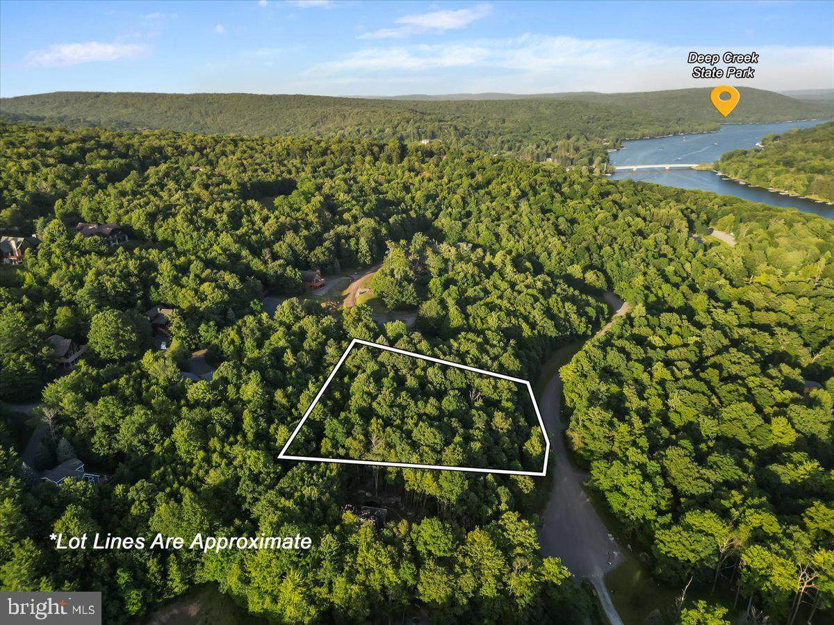 Lot 22 Marsh Hill Road - Photo 1