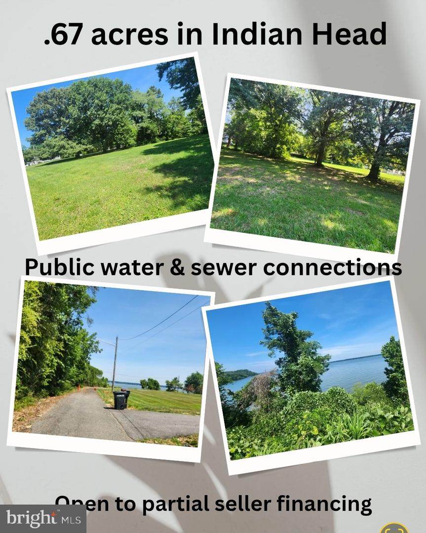 Lot 75 Poplar Lane - Photo 1
