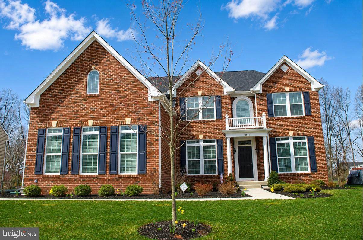 41595 Revival Drive - Photo 1