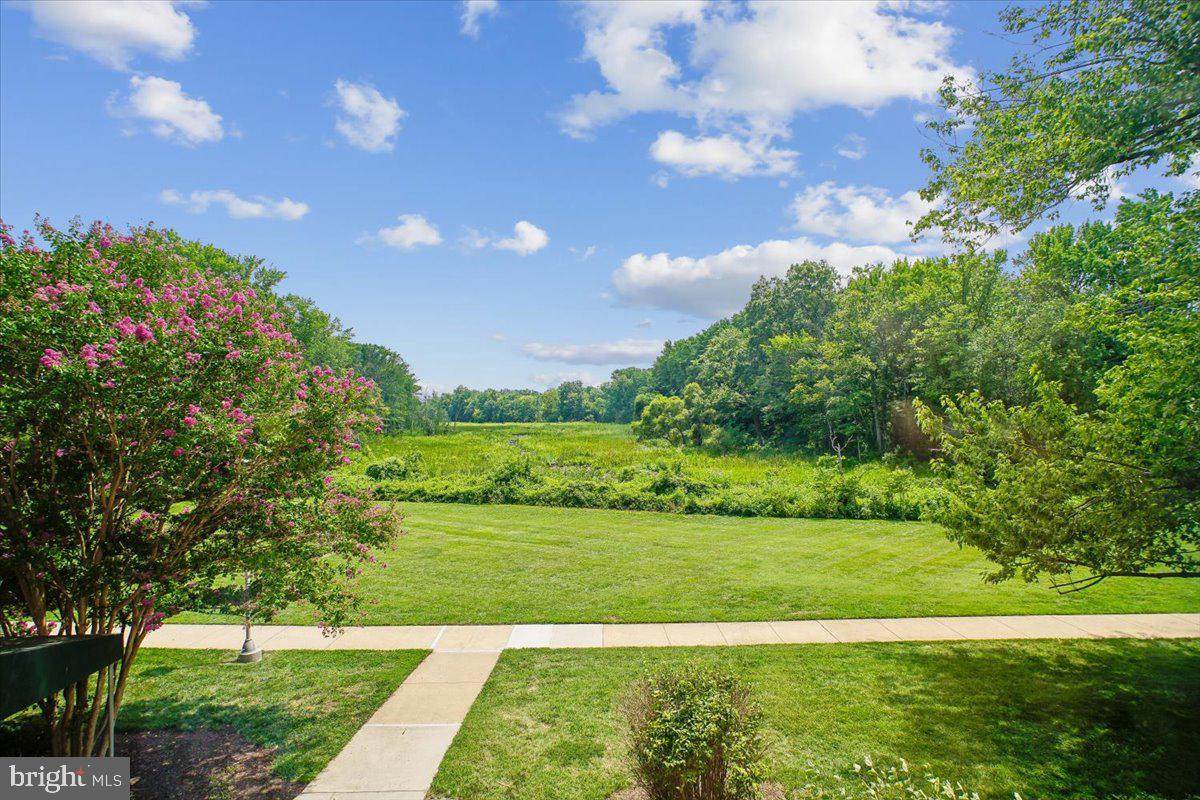 6631 Wakefield Drive - Photo 1