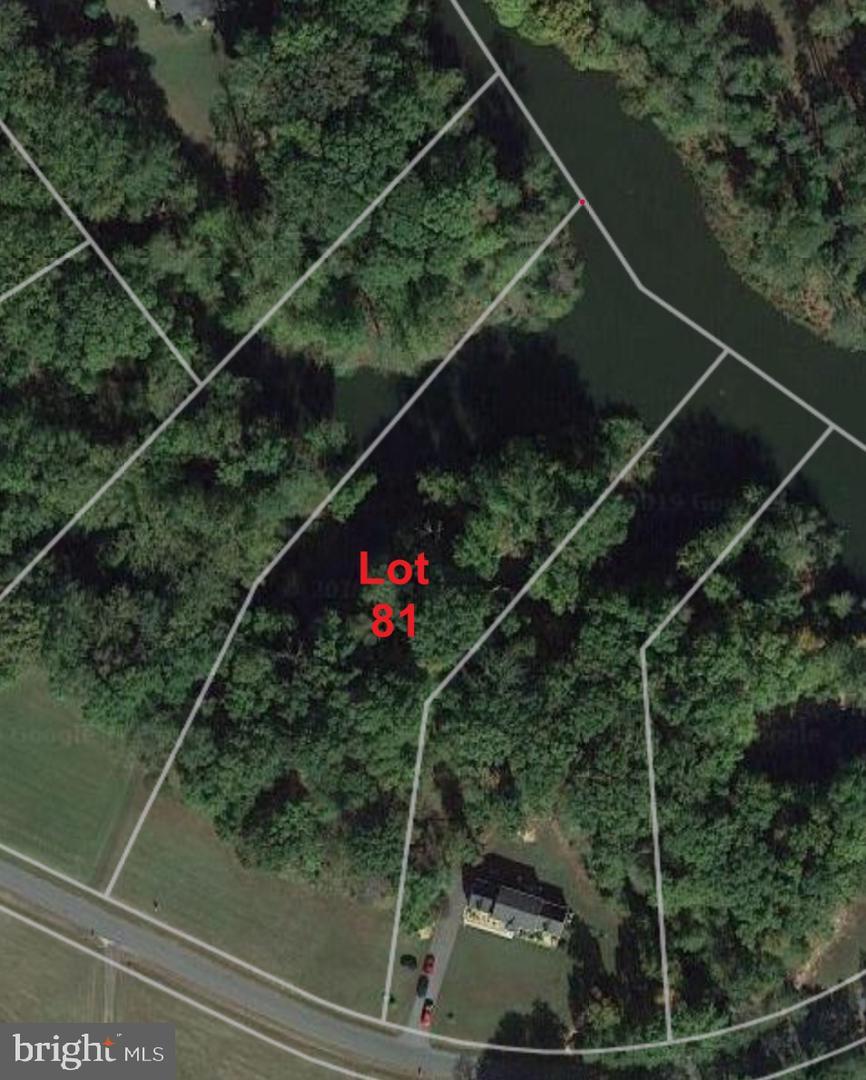 Lot 81 - Portobago Trail - Photo 1
